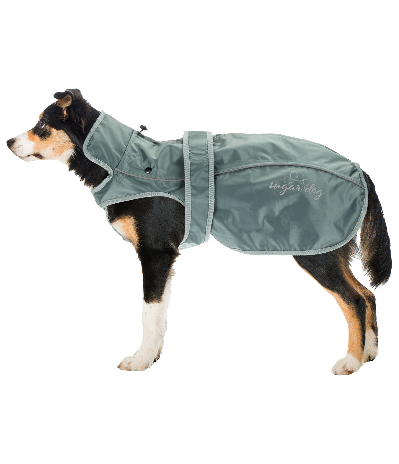 Nylon-Hundemantel Ally 2 in 1