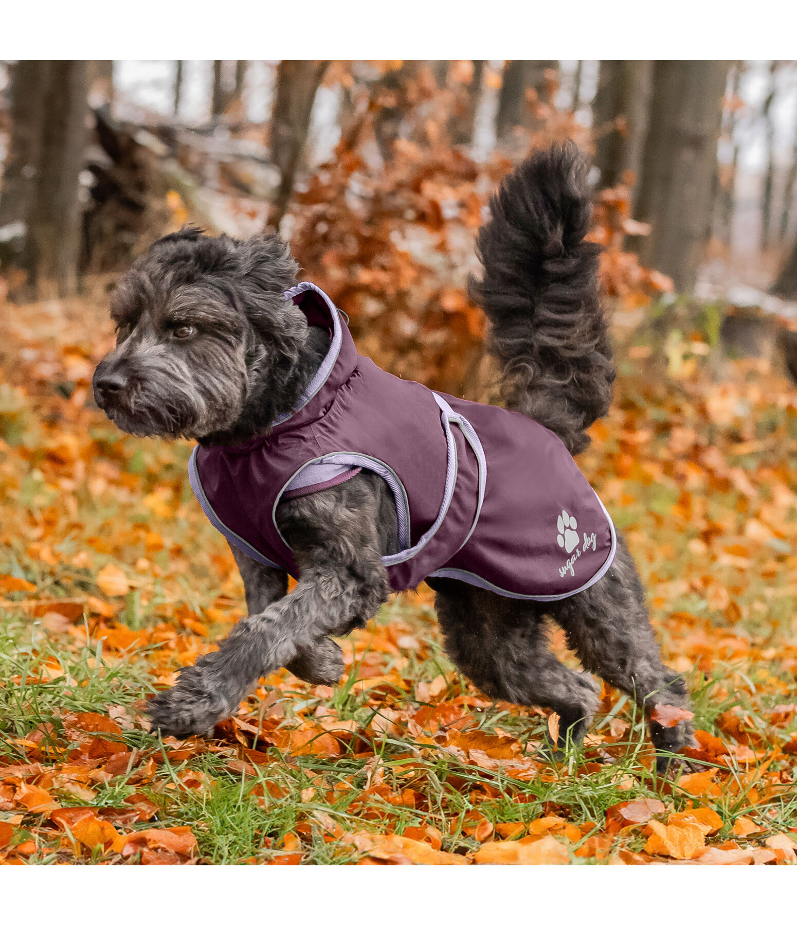 Hunde Regenmantel Eldoro II mit Fleeceinnenfutter, 0 g