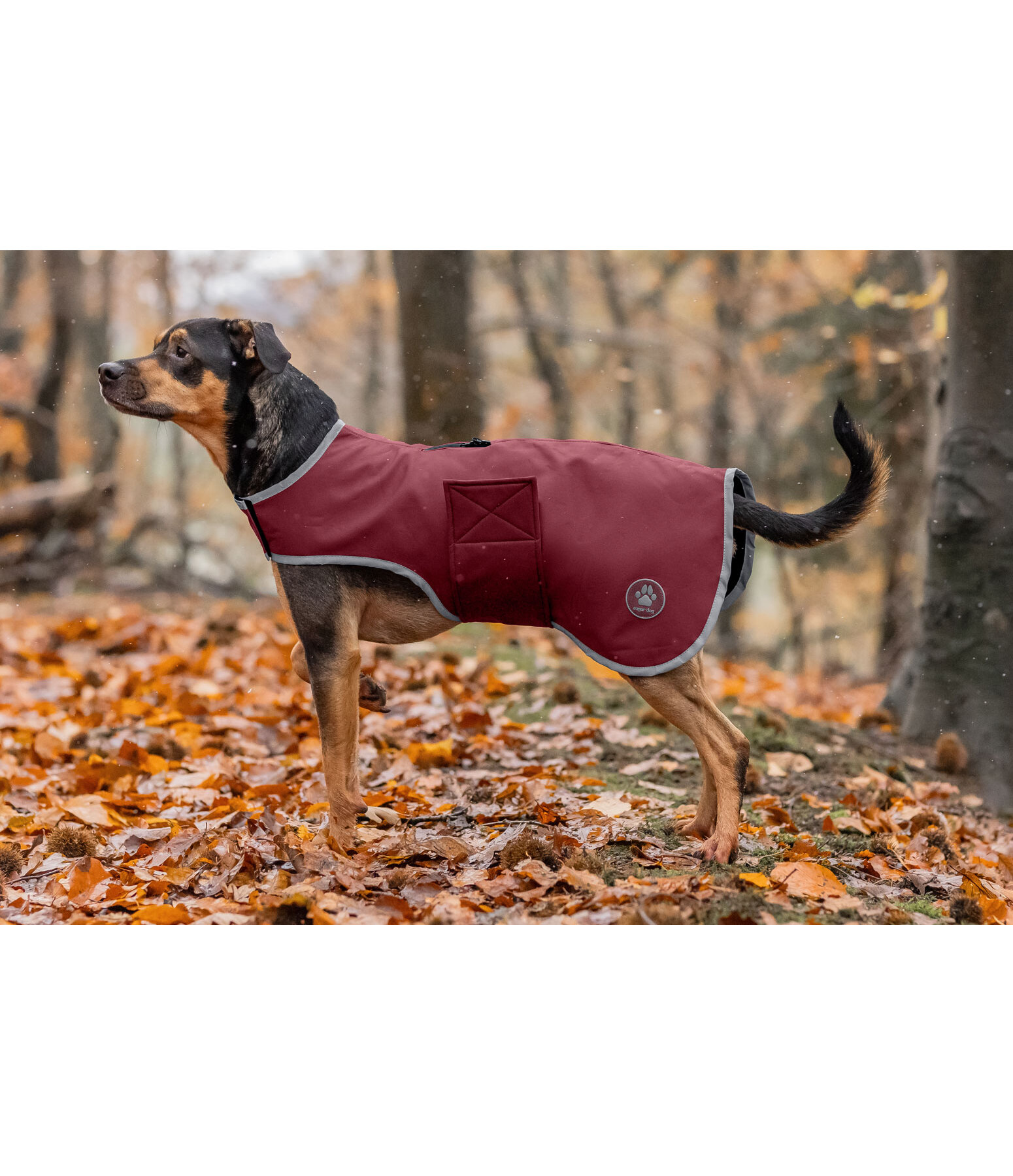 Softshell-Hundewalker Athlete, 0 g