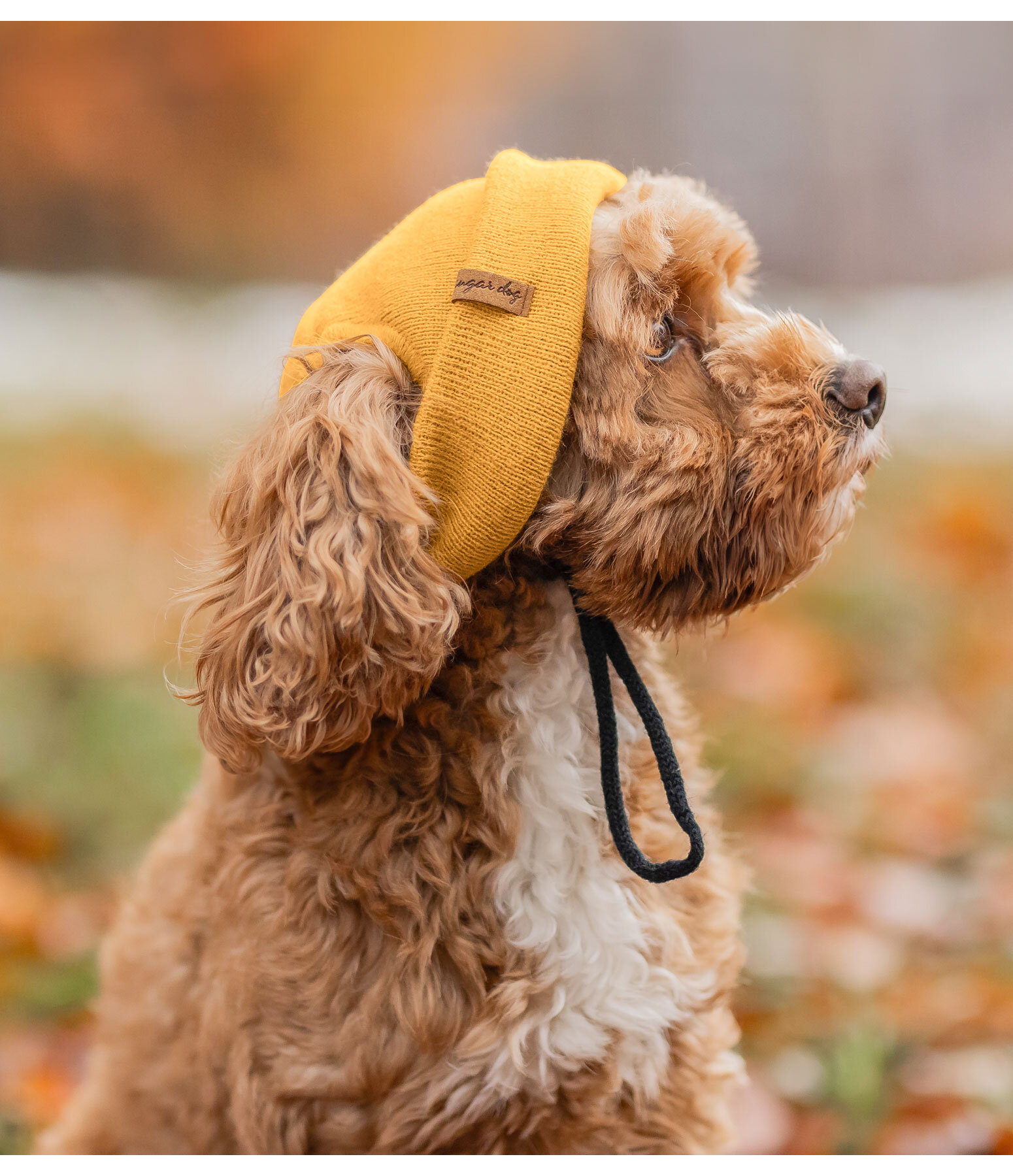 Hunde-Beanie Evin