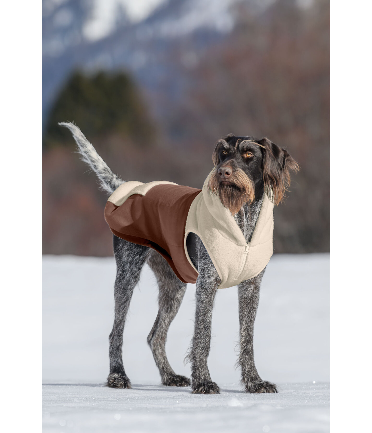 Sherpa-Hunde-Hoodie Sawyer