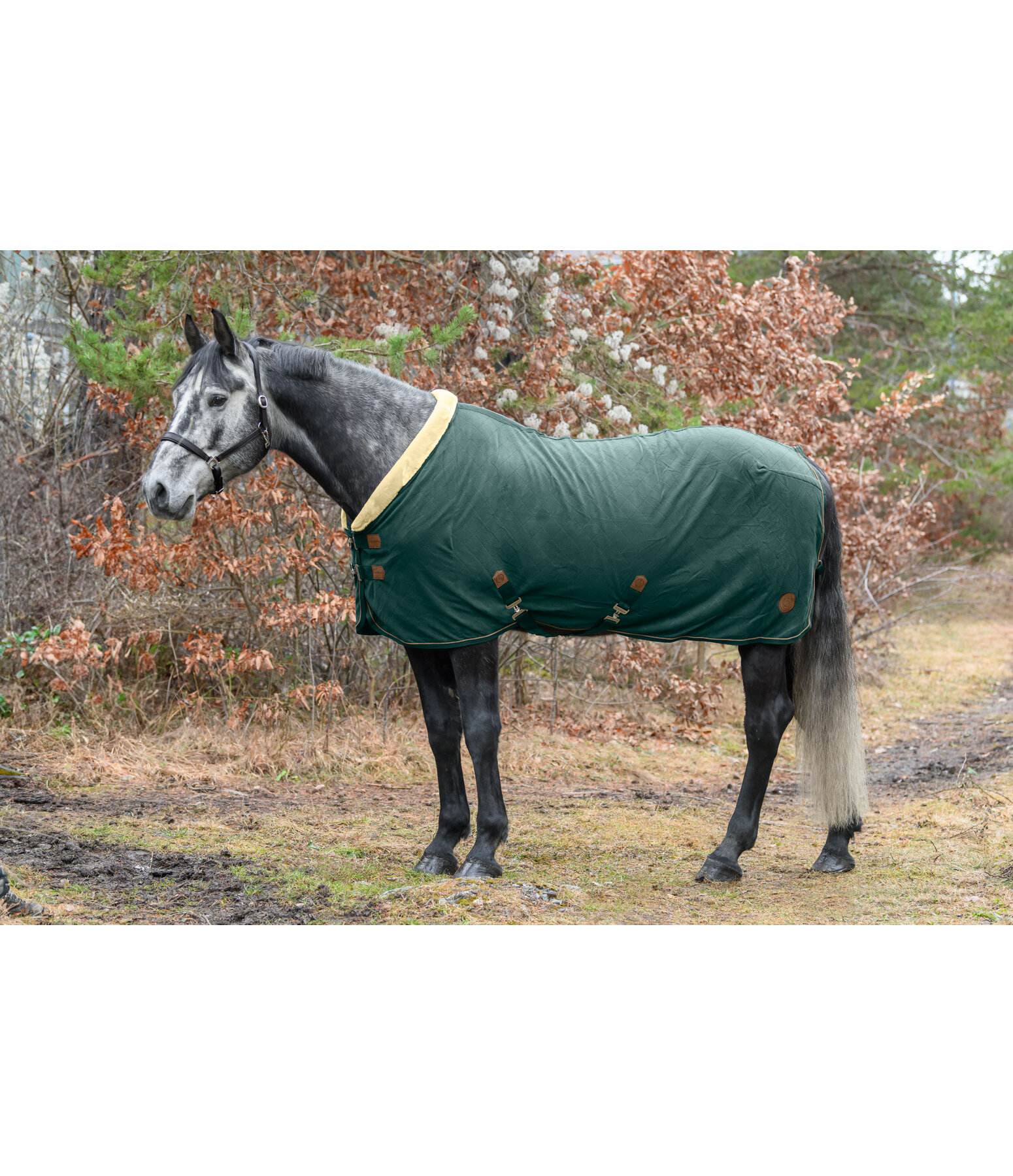 Fleece-Abschwitzdecke Timeless Elegance mit Teddyfleece-Kragen