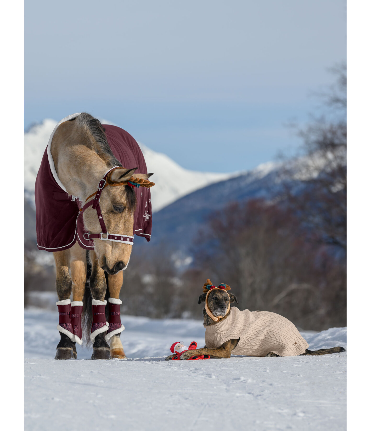 Adventskalender fr Pferde