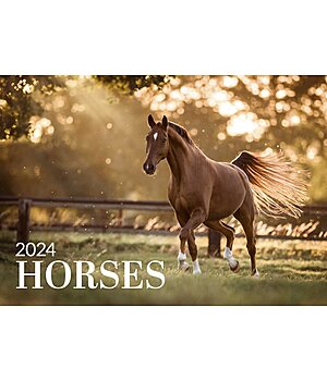 Equino Media Horses Kalender 2025 - 390002