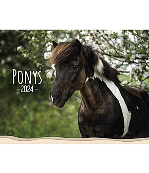 Ponyliebe Fotografie Pony Kalender 2025 - 402538