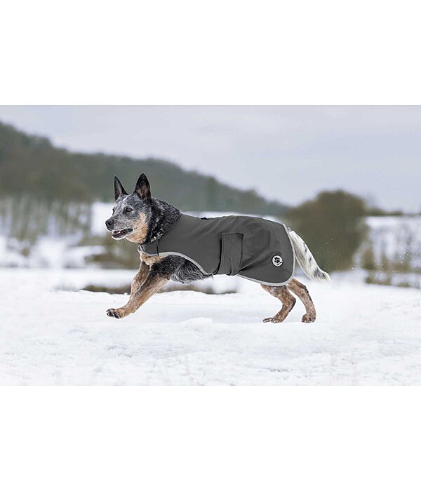 Softshell-Hundewalker Athlete, 0 g