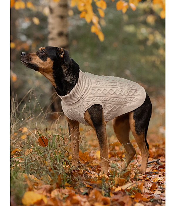 Hunde-Rollkragenpullover Maisie