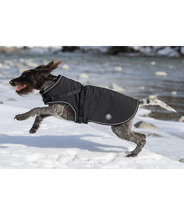 Softshell-Hundemantel Cruz mit integriertem Geschirr, 160 g